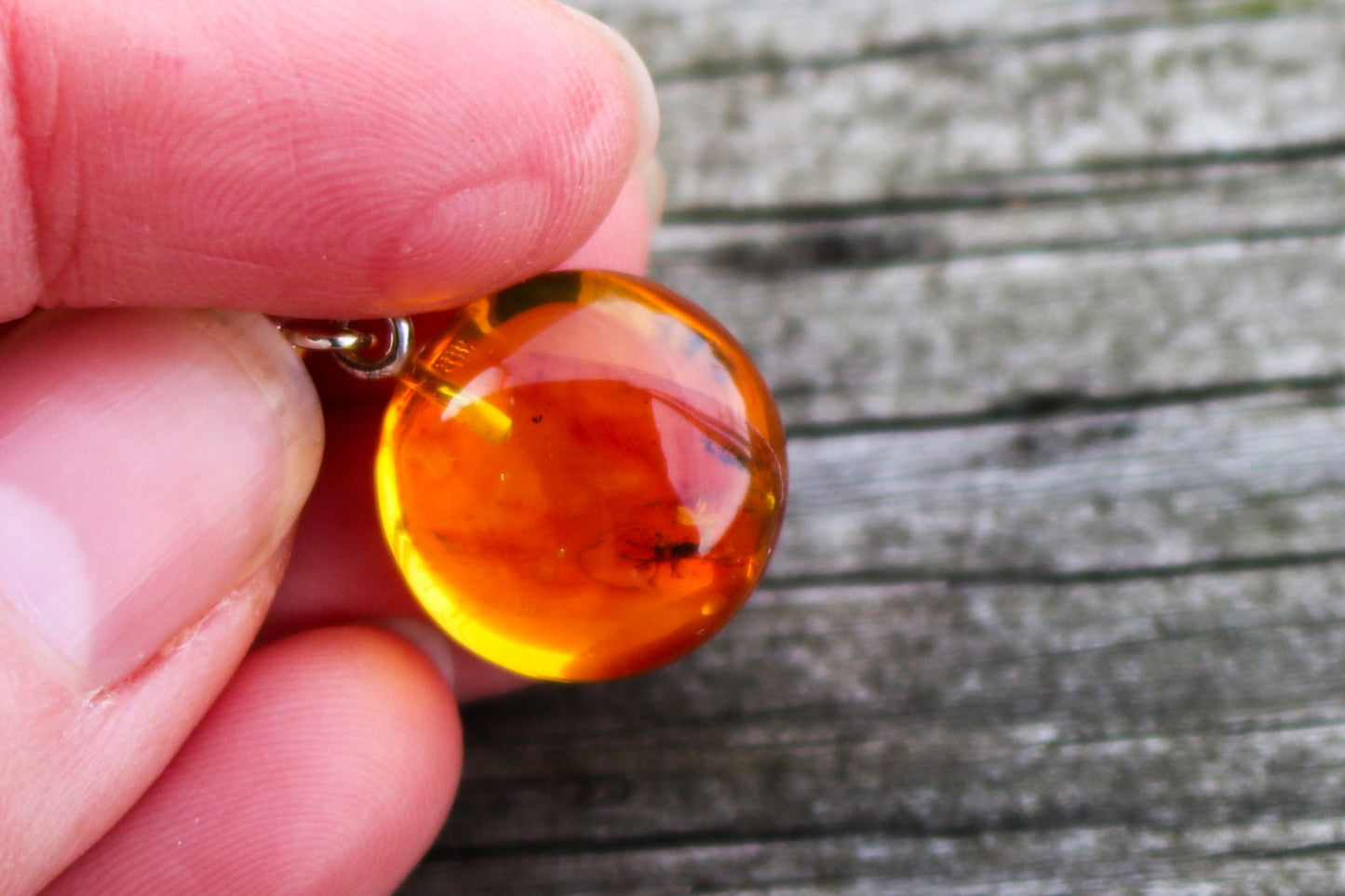 Baltic Amber Pendant Round with Fossil Insect Natural Honey 1.2" 2.5 gram 925 Silver