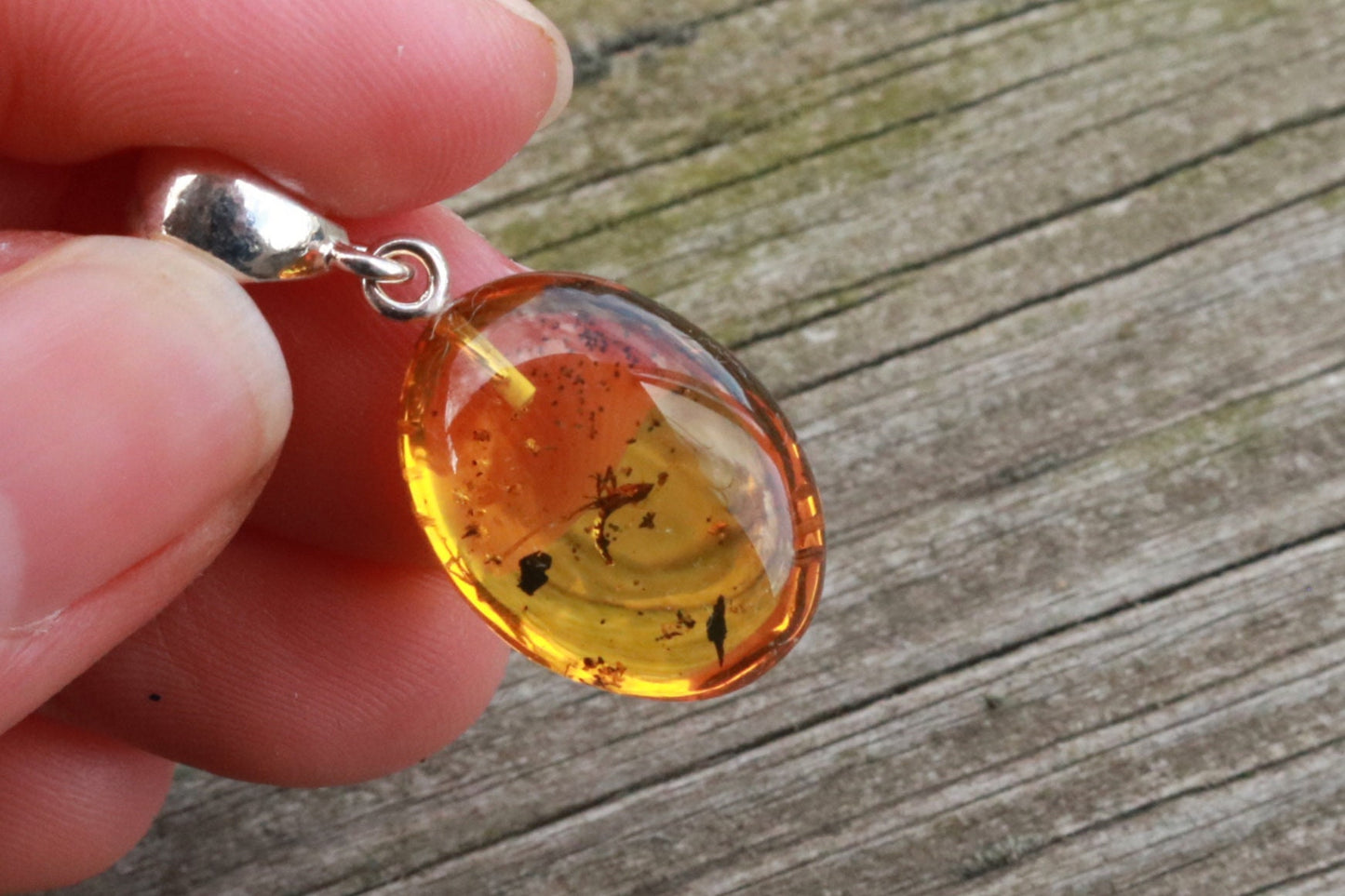 Baltic Amber Pendant Fossil Insect Natural Untreated Honey Oval 1.3" 2.5 gram 925 Silver