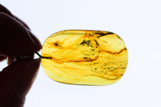 Baltic Amber Pendant with Fossil Insect Natural Untreated Honey 1.93" 7.2 gram 925 Silver