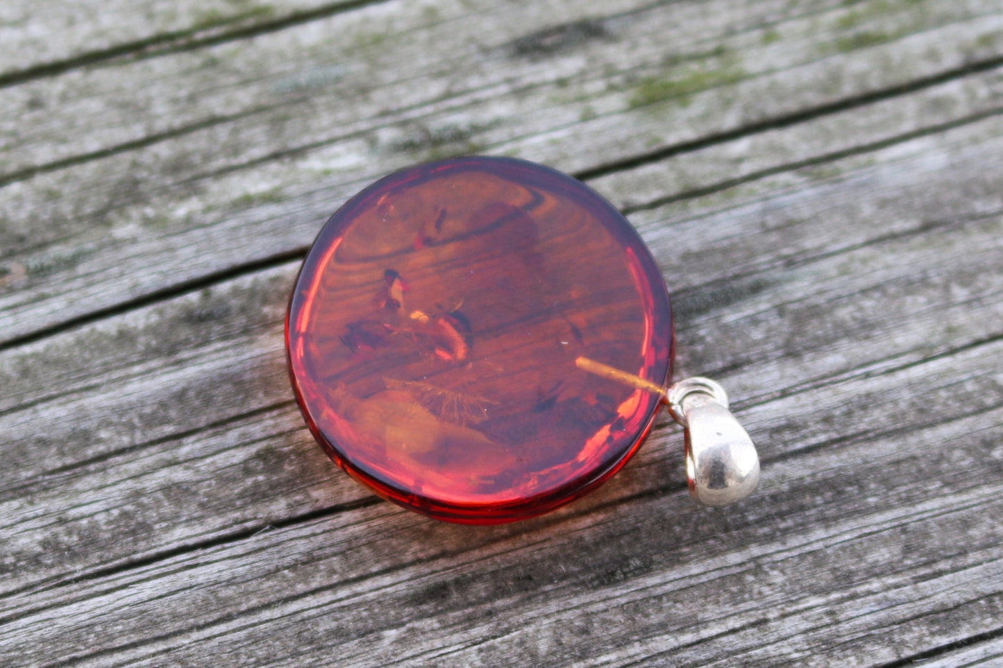 Baltic Amber Pendant Cognac Round Sparkling Unisex 1.44" 12.1 gram 925 Silver