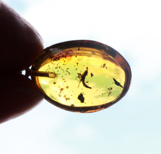 Baltic Amber Pendant Fossil Insect Natural Untreated Honey Oval 1.3" 2.5 gram 925 Silver