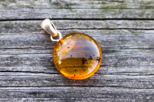 Baltic Amber Pendant Fossil Insect Round Natural Honey Untreated 1" 1.7 gram