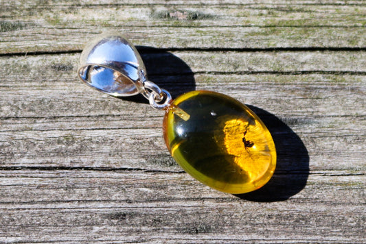 Baltic Amber Pendant Fossil Insect Oval Natural Yellow Unisex Jewelry 1.4" 3.4 gram 925 silver