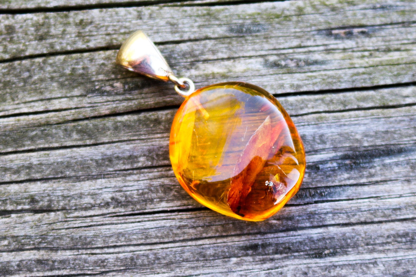 Baltic Amber Pendant Fossil Insects Mosquito Fly Natural Honey Untreated 1.6" 5.9 gram