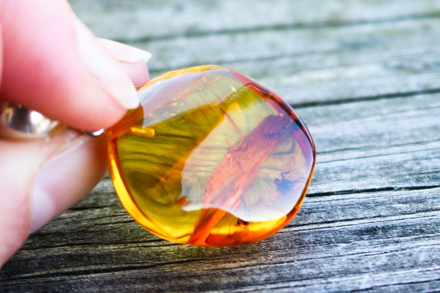Baltic Amber Pendant Fossil Insects Mosquito Fly Natural Honey Untreated 1.6" 5.9 gram