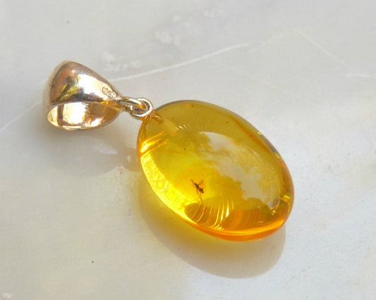 Baltic Amber Pendant with Fossil Insect Egg Shape Natural Untreated Honey Unisex 1.57" 4.3 gram