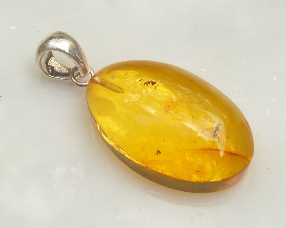 Baltic Amber Pendant with Fossil Insect Fly Oval Natural Untreated Honey 1.8" 6.2 gram 925 Silver