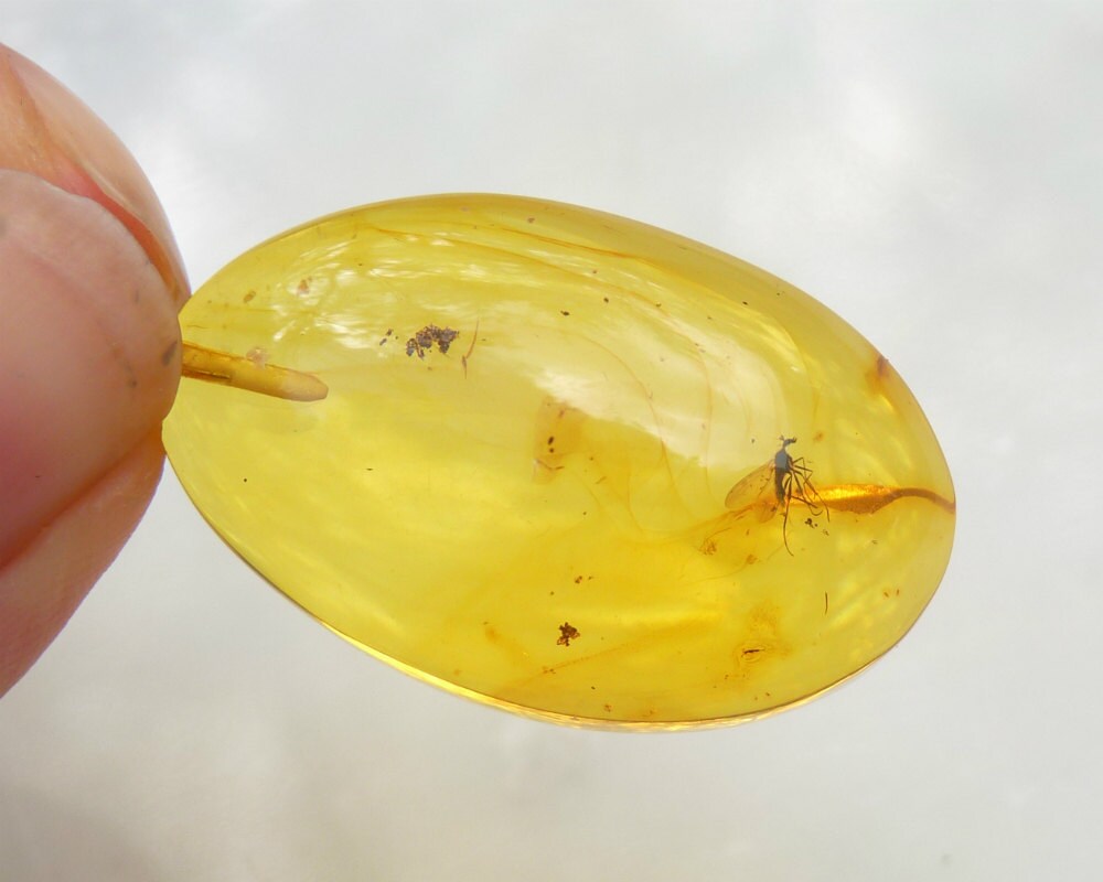 Baltic Amber Pendant with Fossil Insect Fly Oval Natural Untreated Honey 1.8" 6.2 gram 925 Silver