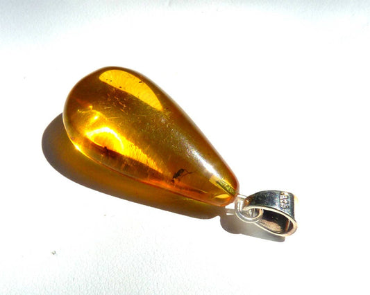 Baltic Amber Pendant with Fossil Insect Drop Natural Honey Untreeated 1.58" 3.4 gram