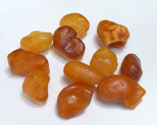 Raw Baltic Amber Drops Nodules Loose Natural Untreated 14.4 gram