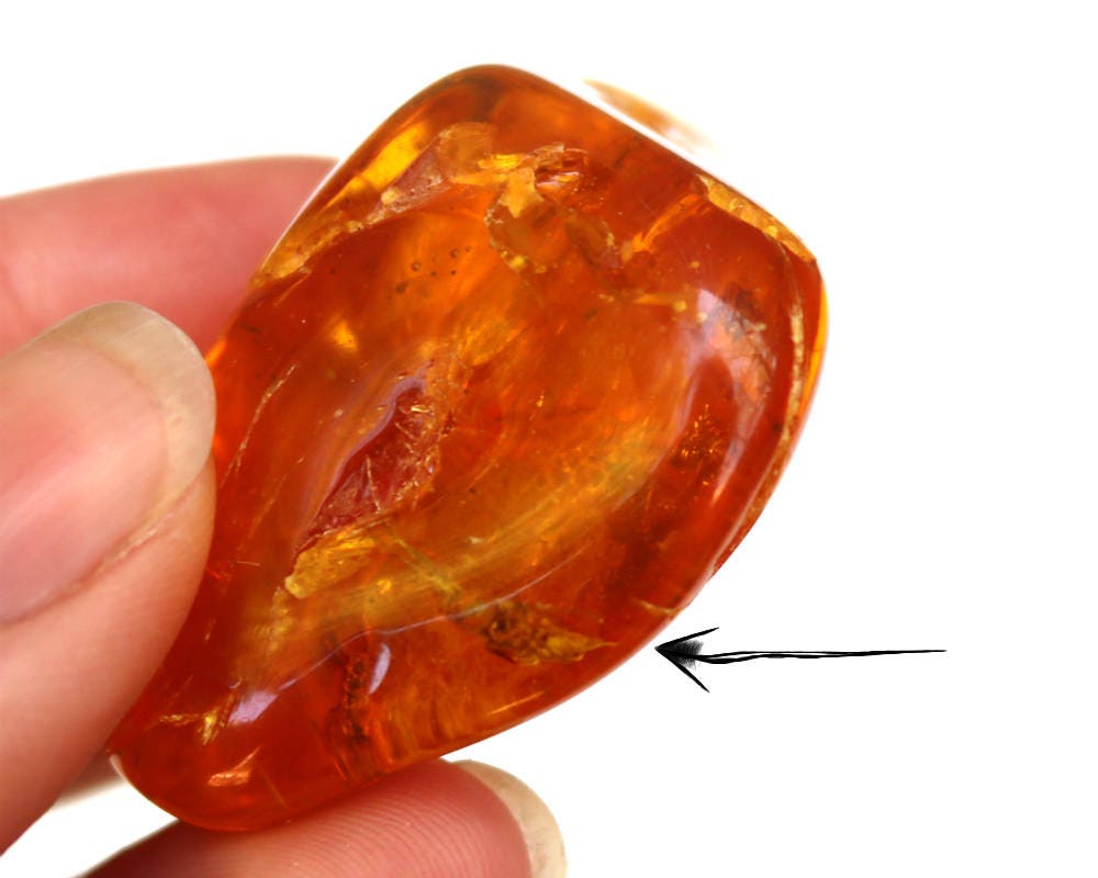 Baltic Amber Chunk Nugget Inclusions Insect Natural Honey Polished 15.4 gram