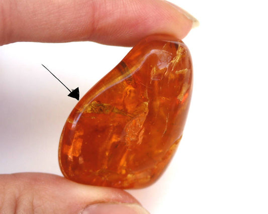 Baltic Amber Chunk Nugget Inclusions Insect Natural Honey Polished 15.4 gram