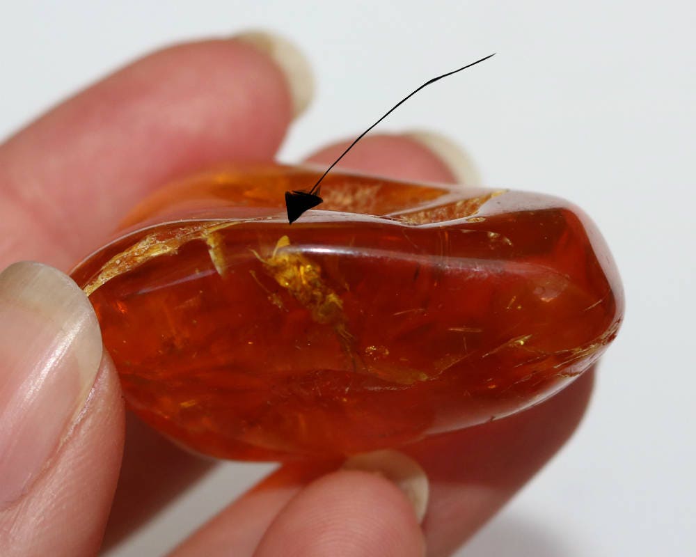 Baltic Amber Chunk Nugget Inclusions Insect Natural Honey Polished 15.4 gram