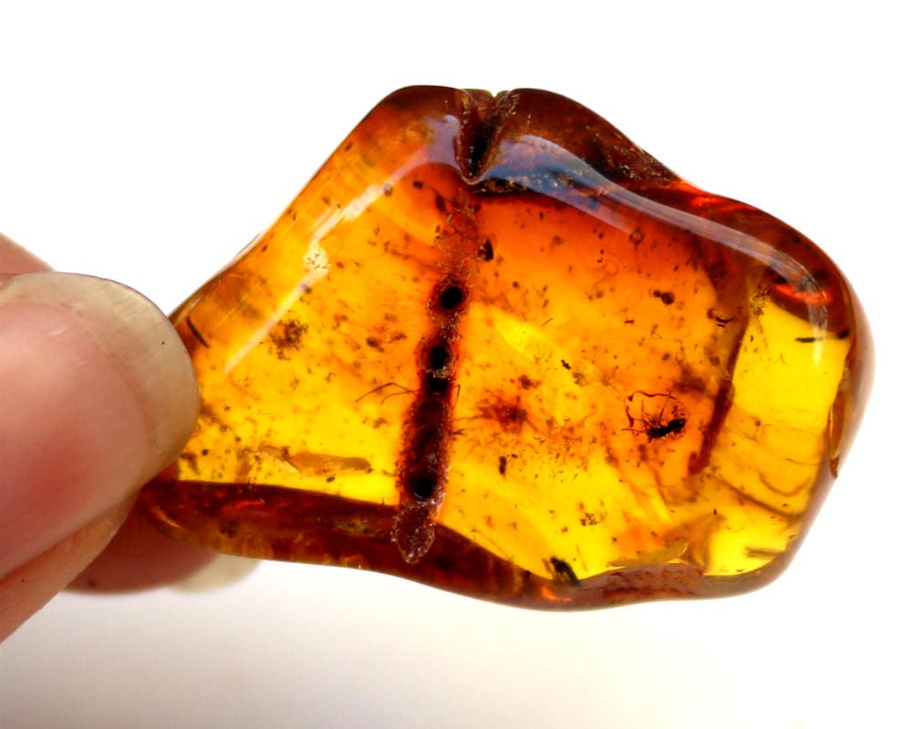 Baltic Amber Pendant with Fossil Insect Ant Natural Honey Untreated 2" 8.4 gram