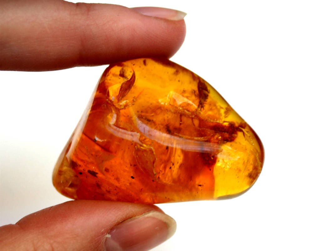 Baltic Amber Chunk Nugget Inclusions Insect Natural Honey Polished 15.4 gram