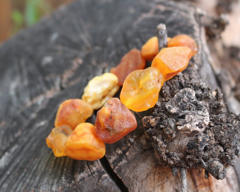 Baltic Amber Nodules Bracelet Raw Natural Untreated Unisex Jewelry 26.8 gram