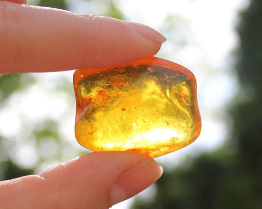 Baltic Amber Nugget Chunk Honey Natural Polished Untreated 7.7 gram