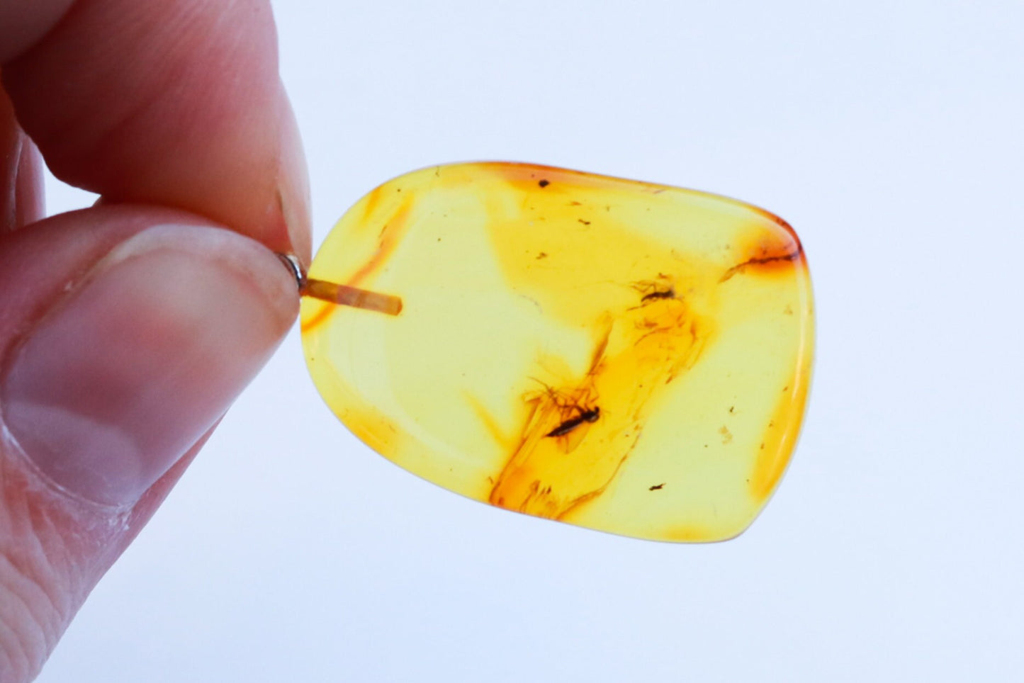 Baltic Amber Pendant Fossil Insect Natural Honey Unisex 1.6" 2.9 gram 925 Silver