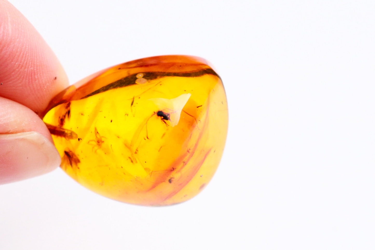 Baltic Amber Pendant Fossil Insect Inclusions Natural Honey Untreated Unisex 1.56" 4.5 gram