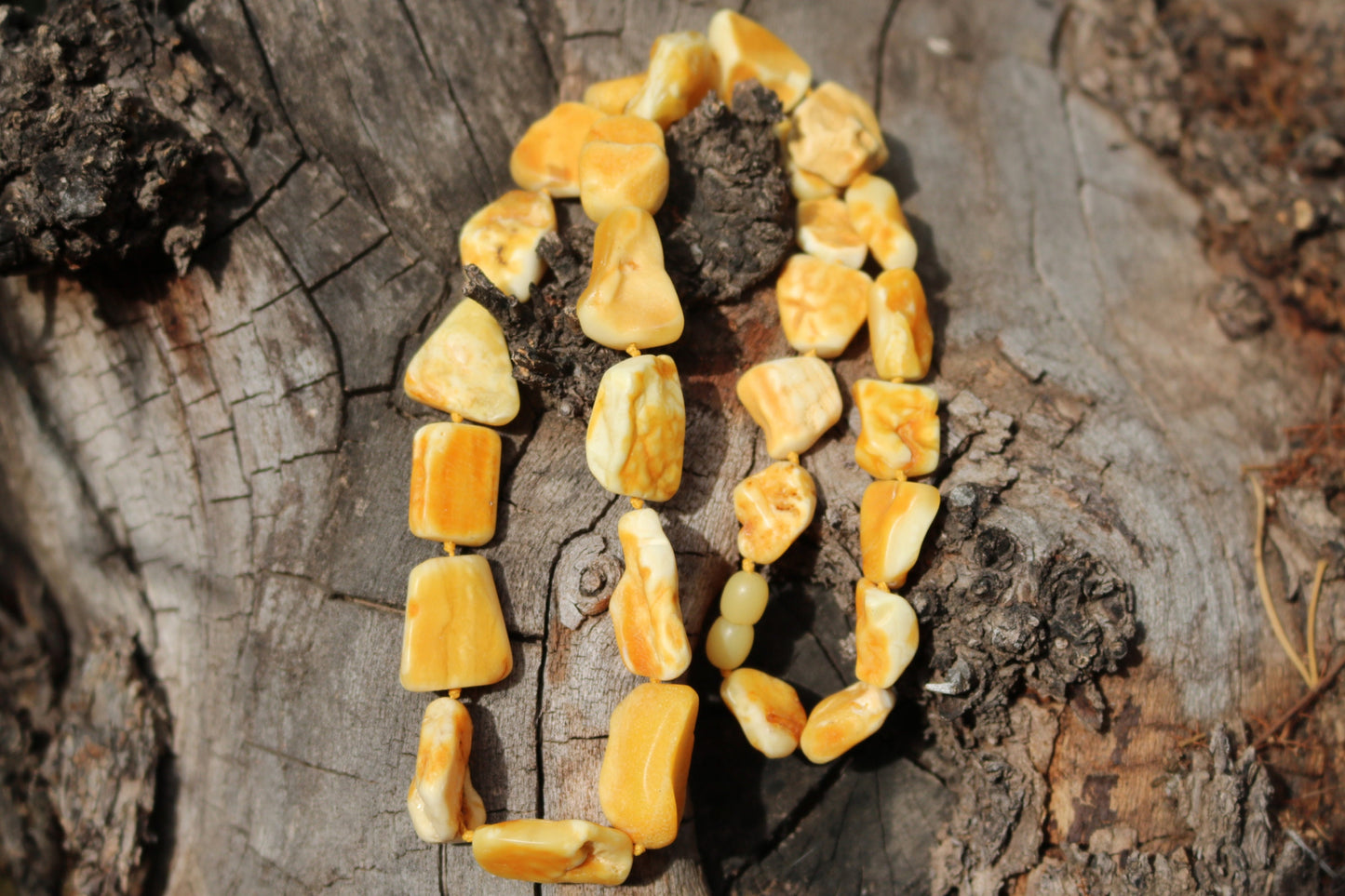 Baltic Amber Raw Butterscotch Necklace Unpolished Natural Untreated Chunky Healing Unisex 24″ 40.6 gram