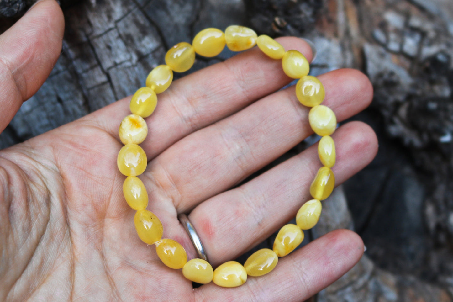 Baltic Amber Butterscotch Bracelet Beads Natural Untreated Unisex Jewelry 7.7" 6.7 gram