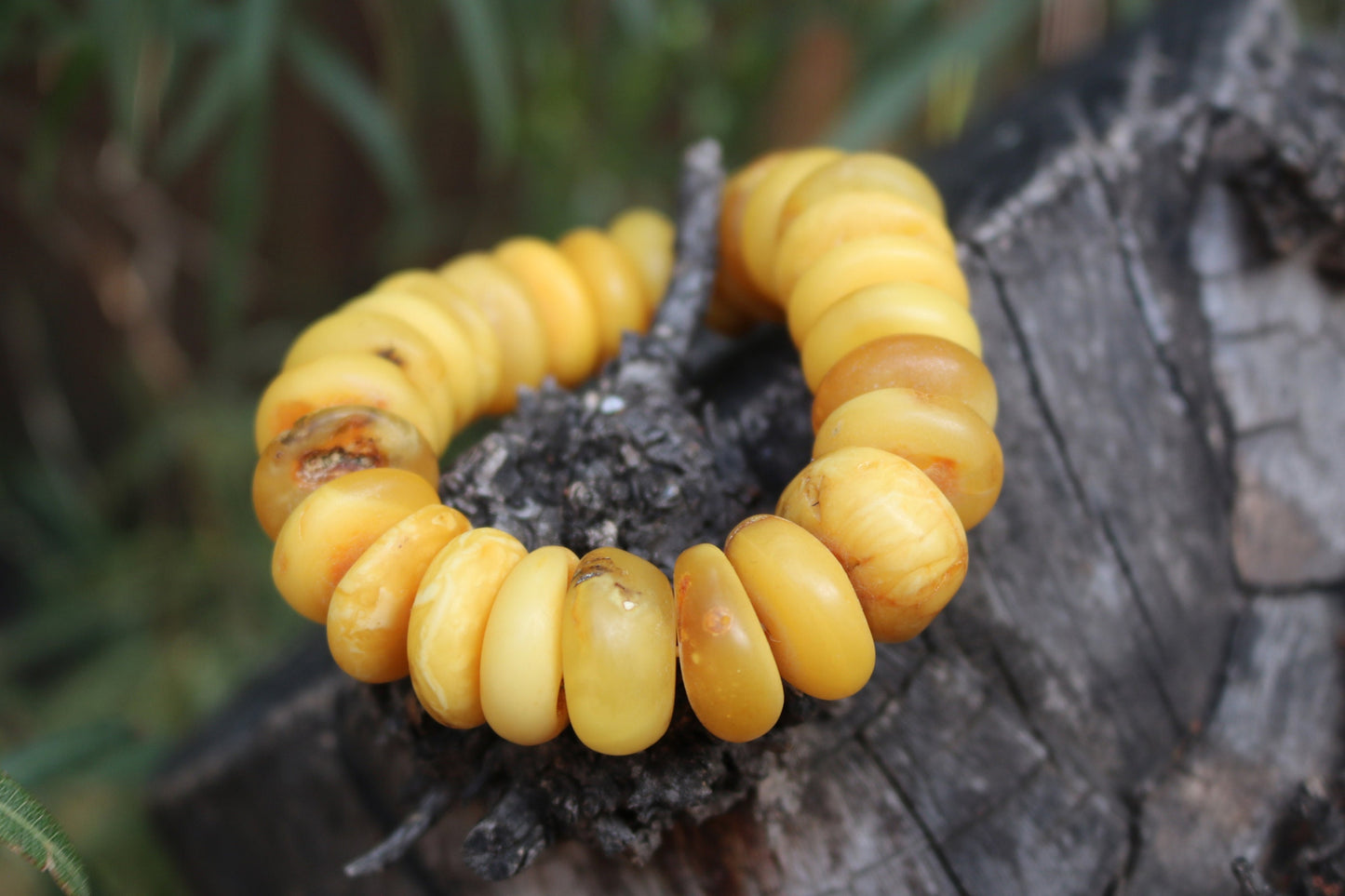 Baltic Amber Bracelet Raw Butterscotch Yolk Rondelle Unpolished Beads Natural Untreated Unisex 48.4 gram