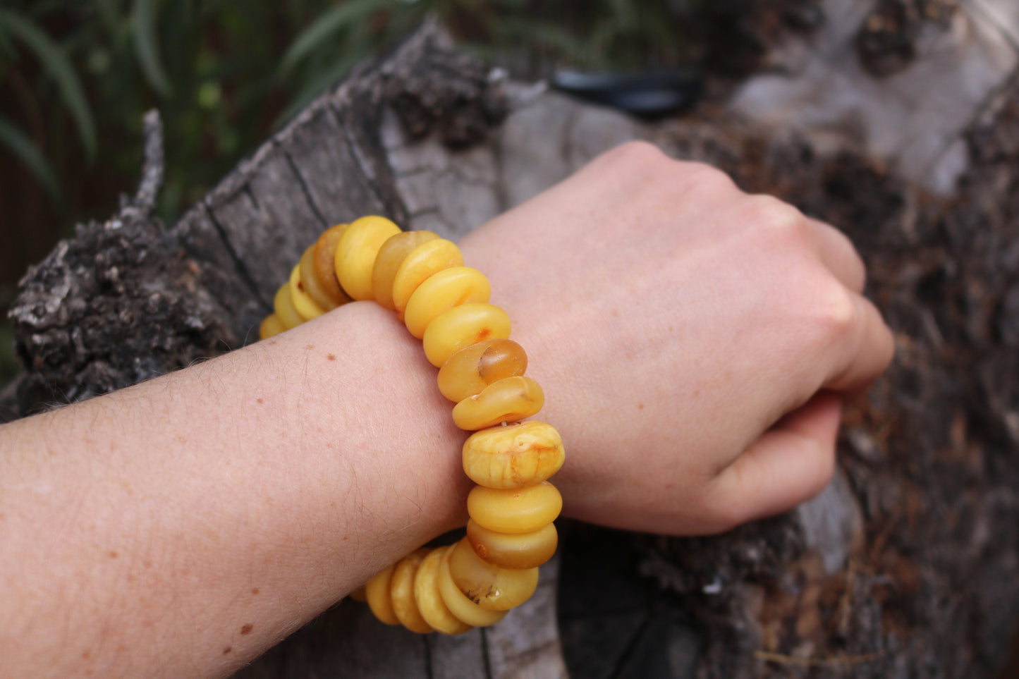 Baltic Amber Bracelet Raw Butterscotch Yolk Rondelle Unpolished Beads Natural Untreated Unisex 48.4 gram