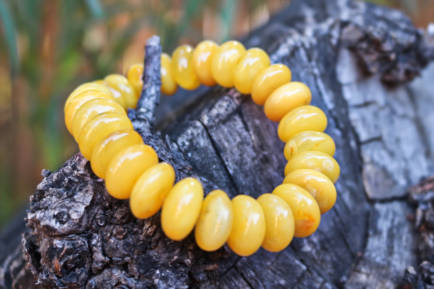 Baltic Amber Bracelet Antique Butterscotch Rondelle Beads Yolk Unisex Jewelry 22.8 gram 7.5"