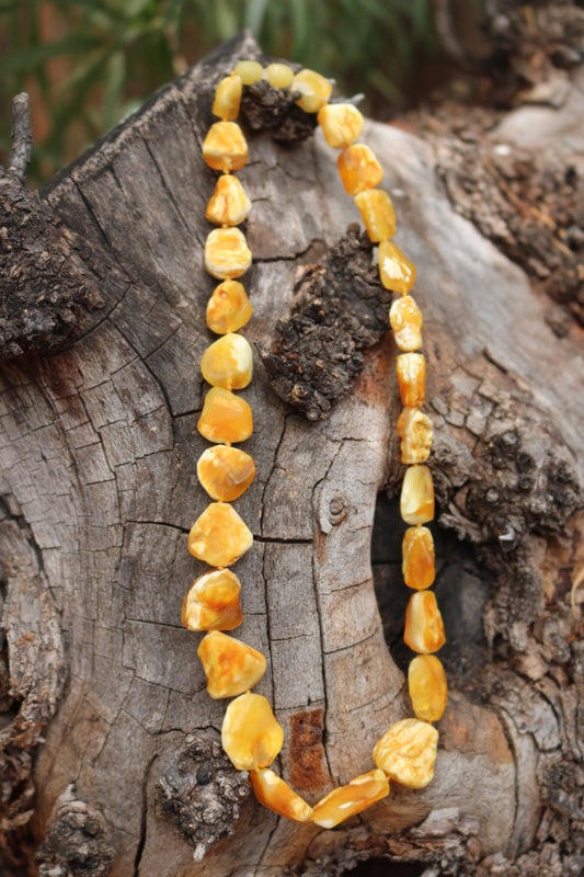 Baltic Amber Raw Butterscotch Necklace Unpolished Natural Untreated Chunky Healing Unisex 19.5″ 31.9 gram