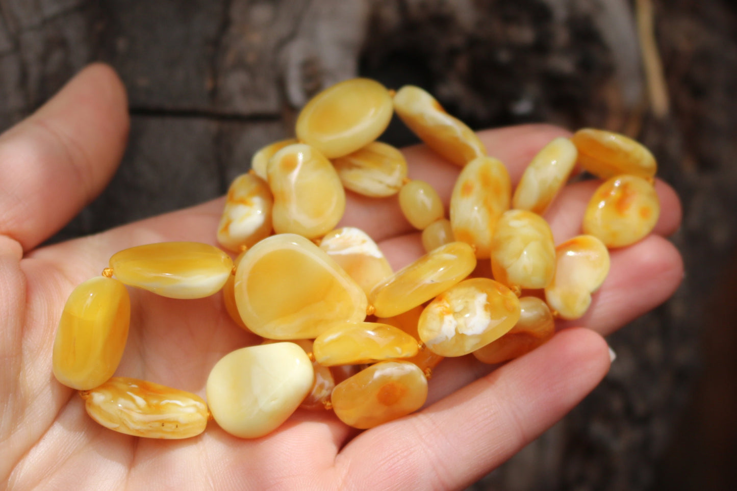 Baltic Amber Necklace Butterscotch Beads Natural Untreated Unisex Jewelry 20.5″ 26.5 gram