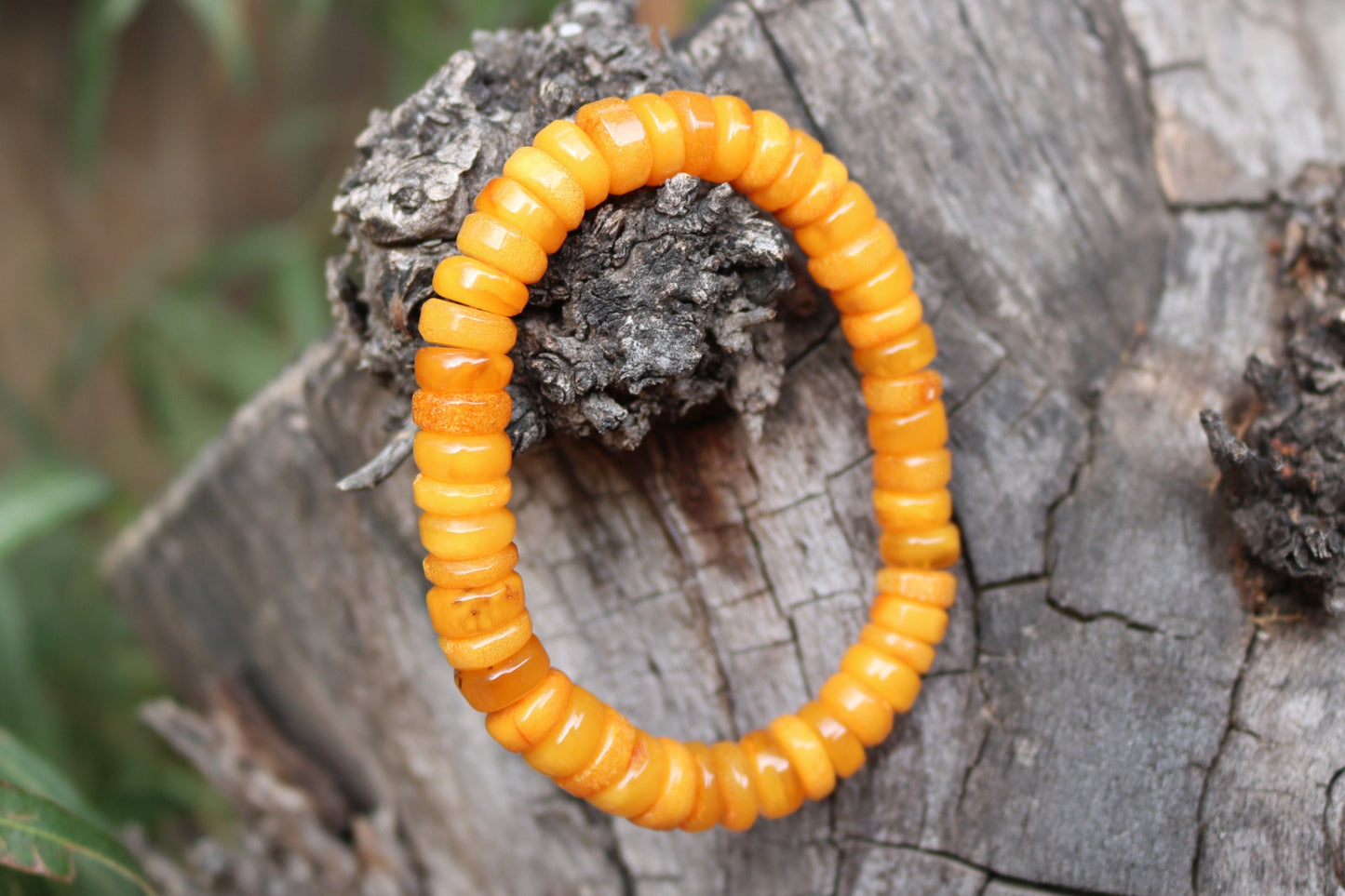 Baltic Amber Bracelet Yolk Butterscotch Antique Disc Beads Natural Unisex Jewelry 7.5" 12.7 gram