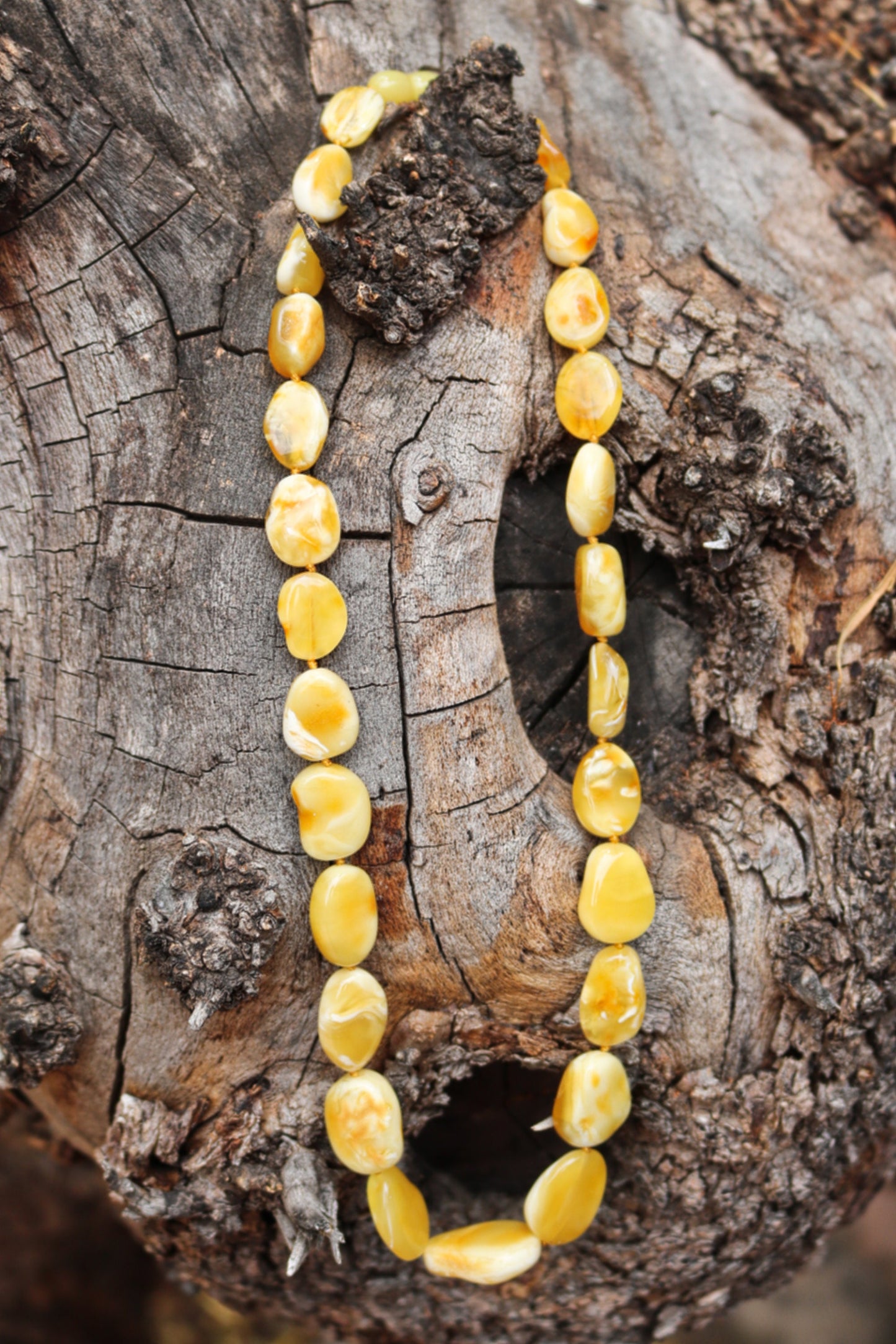 Baltic Amber Necklace Butterscotch Beads Natural Untreated Unisex Jewelry 20.5″ 26.5 gram