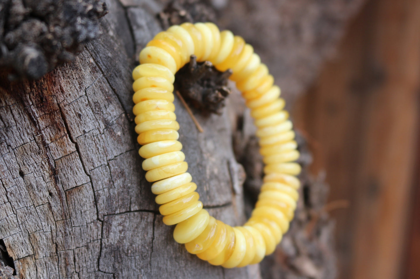 Baltic Amber Bracelet Butterscotch Disc Beads Natural Untreated Milky Unisex 29 gram