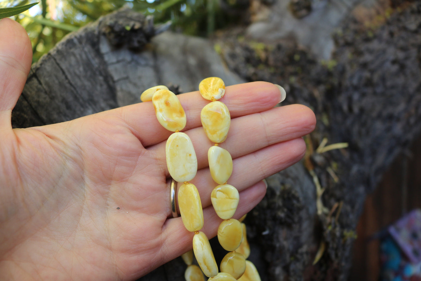 Baltic Amber Milky Butterscotch Necklace Natural Untreated Beads Jewelry 24.2" 21.4 gram