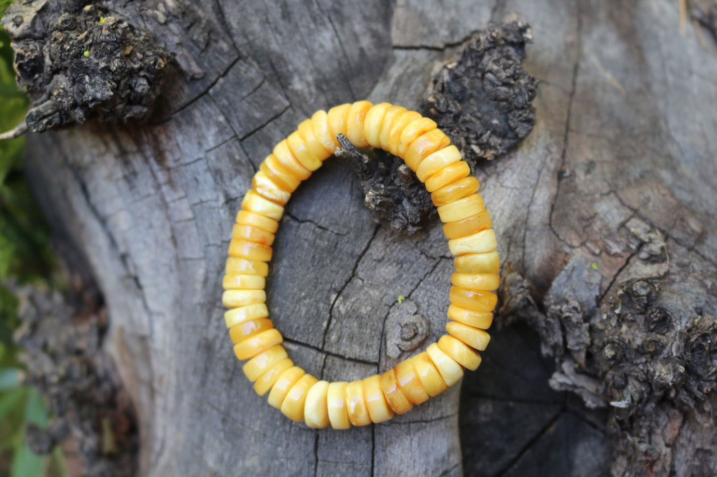 Baltic Amber Bracelet Butterscotch Disc Beads Natural Raw Untreated Unisex 19.3 gram