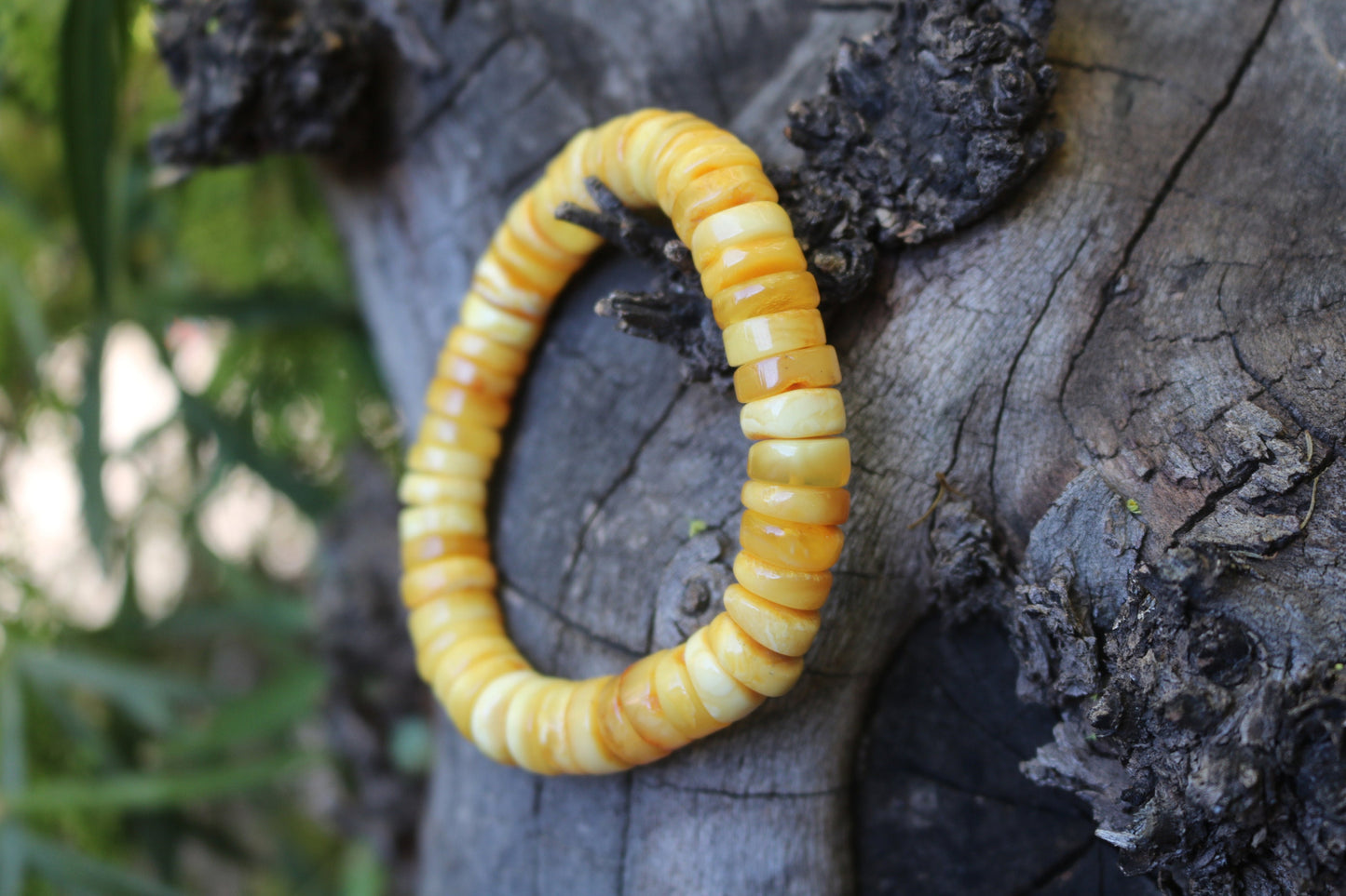 Baltic Amber Bracelet Butterscotch Disc Beads Natural Raw Untreated Unisex 19.3 gram