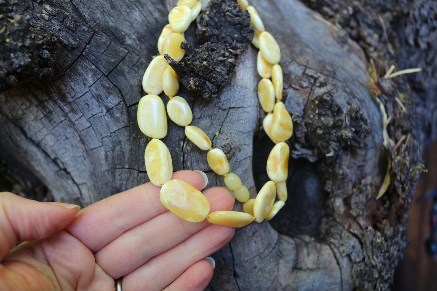 Baltic Amber Milky Butterscotch Necklace Natural Untreated Beads Jewelry 24.2" 21.4 gram