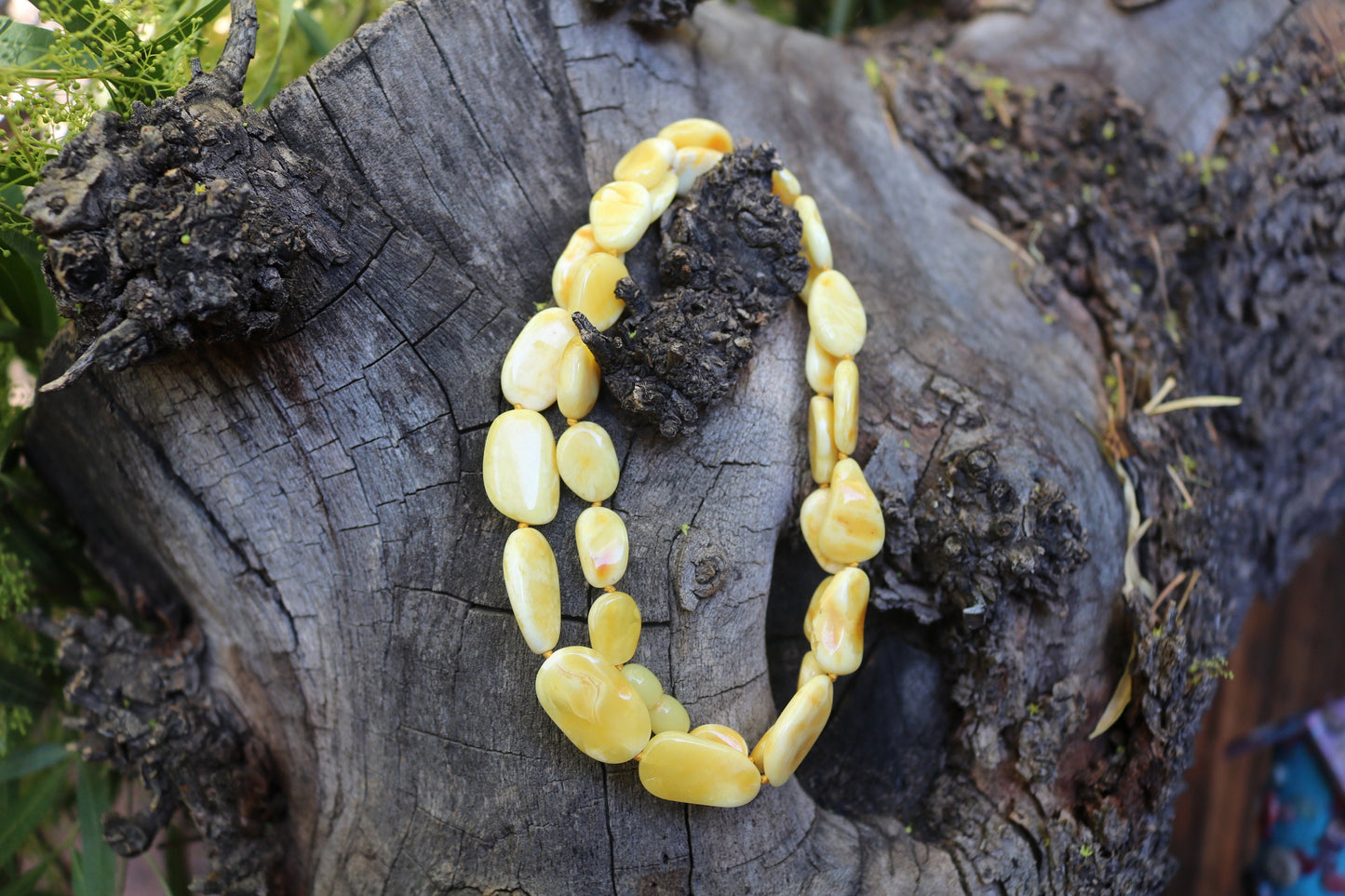 Baltic Amber Milky Butterscotch Necklace Natural Untreated Beads Jewelry 24.2" 21.4 gram