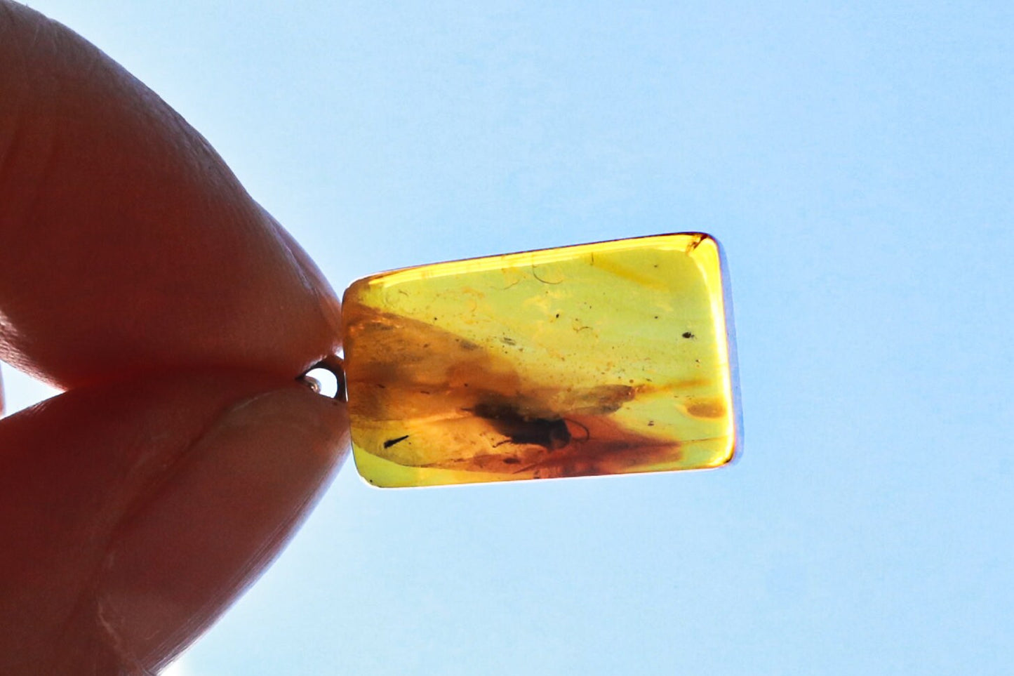 Baltic Amber Pendant with Fossil Insect Fly Natural Inclusions Rectangle Unisex 1.23" 2.4 gram