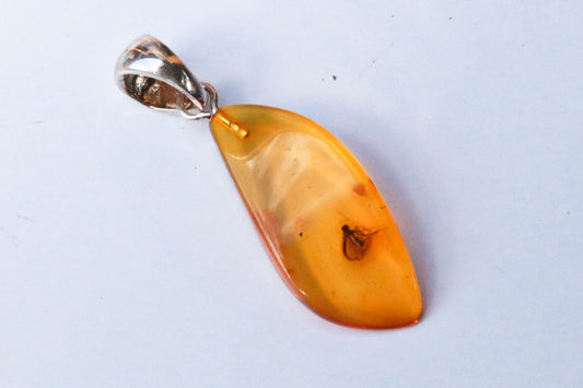 Baltic Amber Pendant with Fossil Insect Fly Natural Honey Untreated 1.55" 1.8 gram