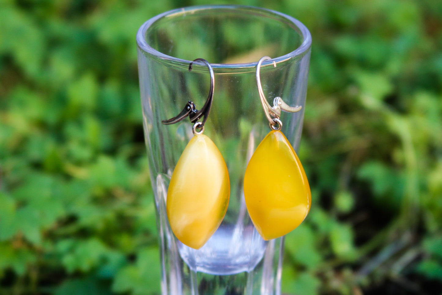 Baltic Amber Earrings Butterscotch Yellow Faceted Natural Jewelry 2" 6 gram 925 silver