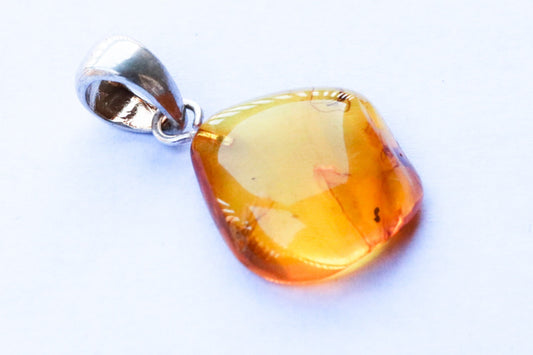 Baltic Amber Pendant Fossil Insect Natural Honey Unisex Jewelry 1.2" 2.1 gram 925 silver