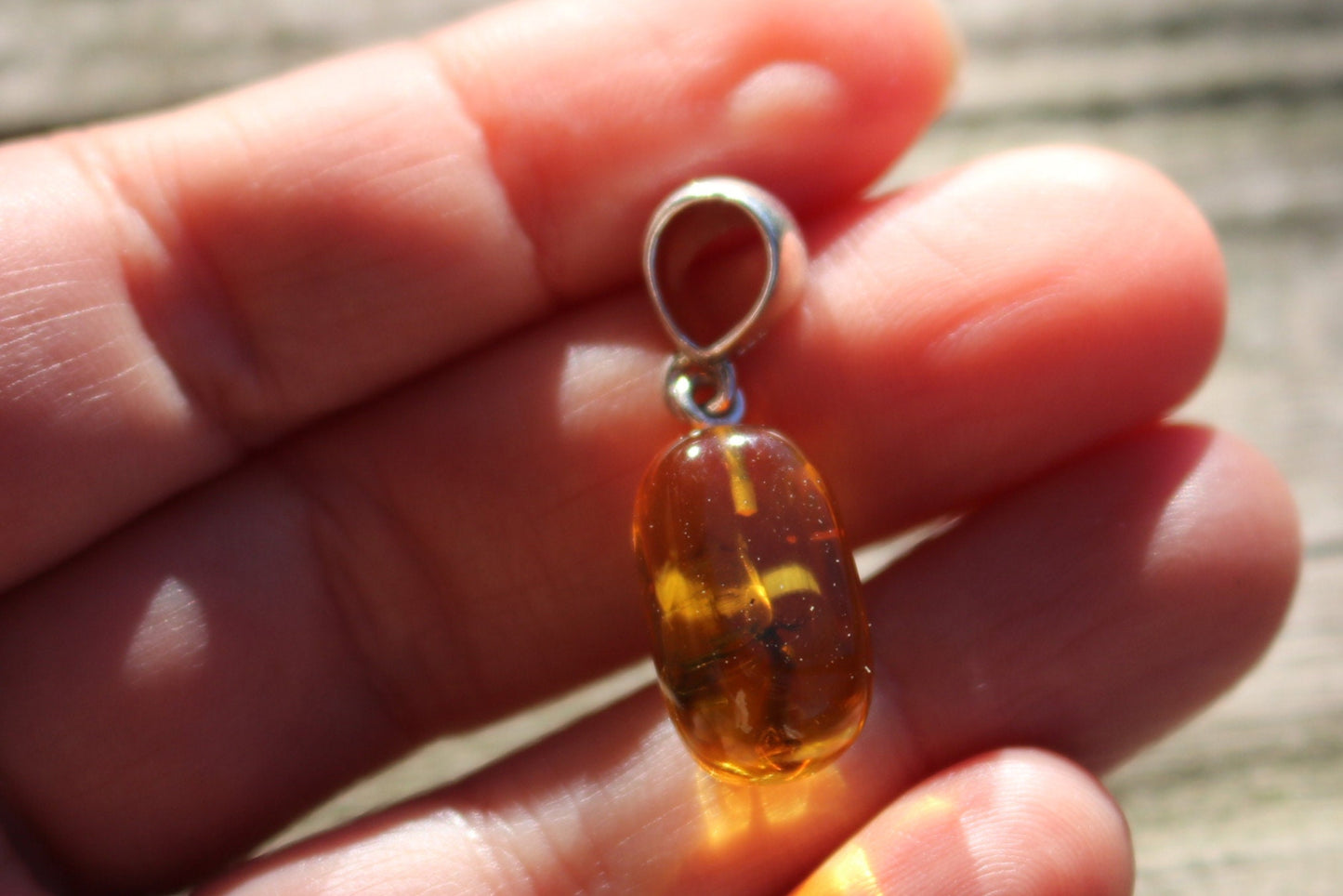 Baltic Amber Pendant Fossil Insect Natural Honey Untreated 1.2" 2 gram