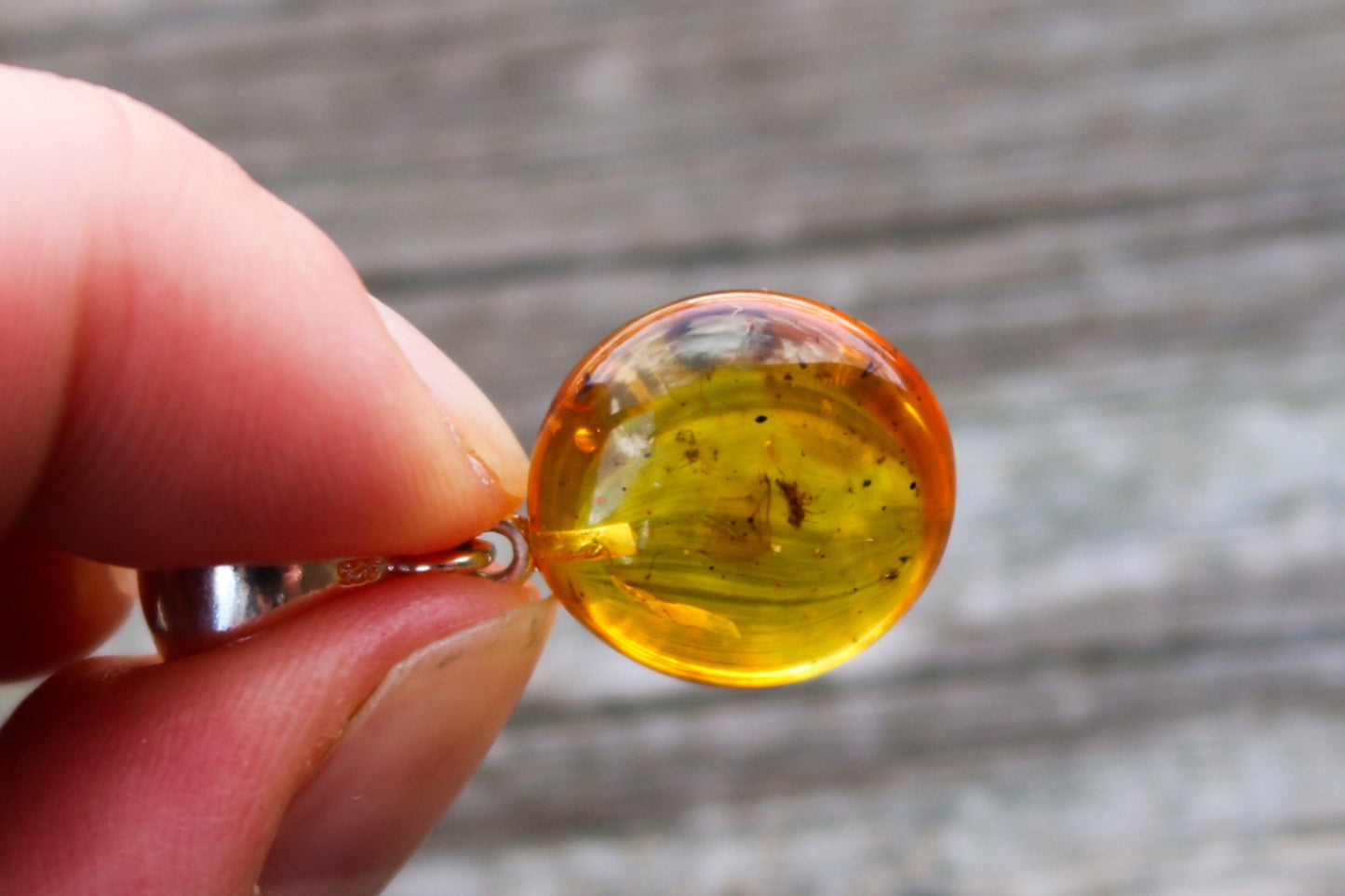 Baltic Amber Pendant Fossil Insect Natural Untreated Honey Inclusions Round 1.26" 2.8 gram 925 Silver