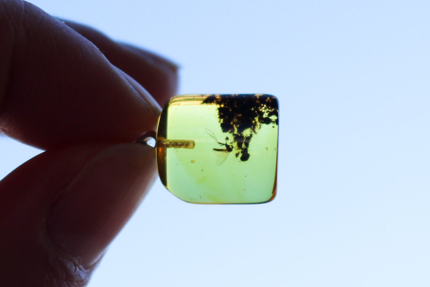 Baltic Amber Pendant Fossil Insect Mosquito Square Natural Honey Unisex Jewelry 1.1" 1.6 gram 925 silver