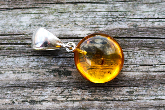 Baltic Amber Pendant Fossil Insect Natural Untreated Honey Inclusions Round 1.26" 2.8 gram 925 Silver