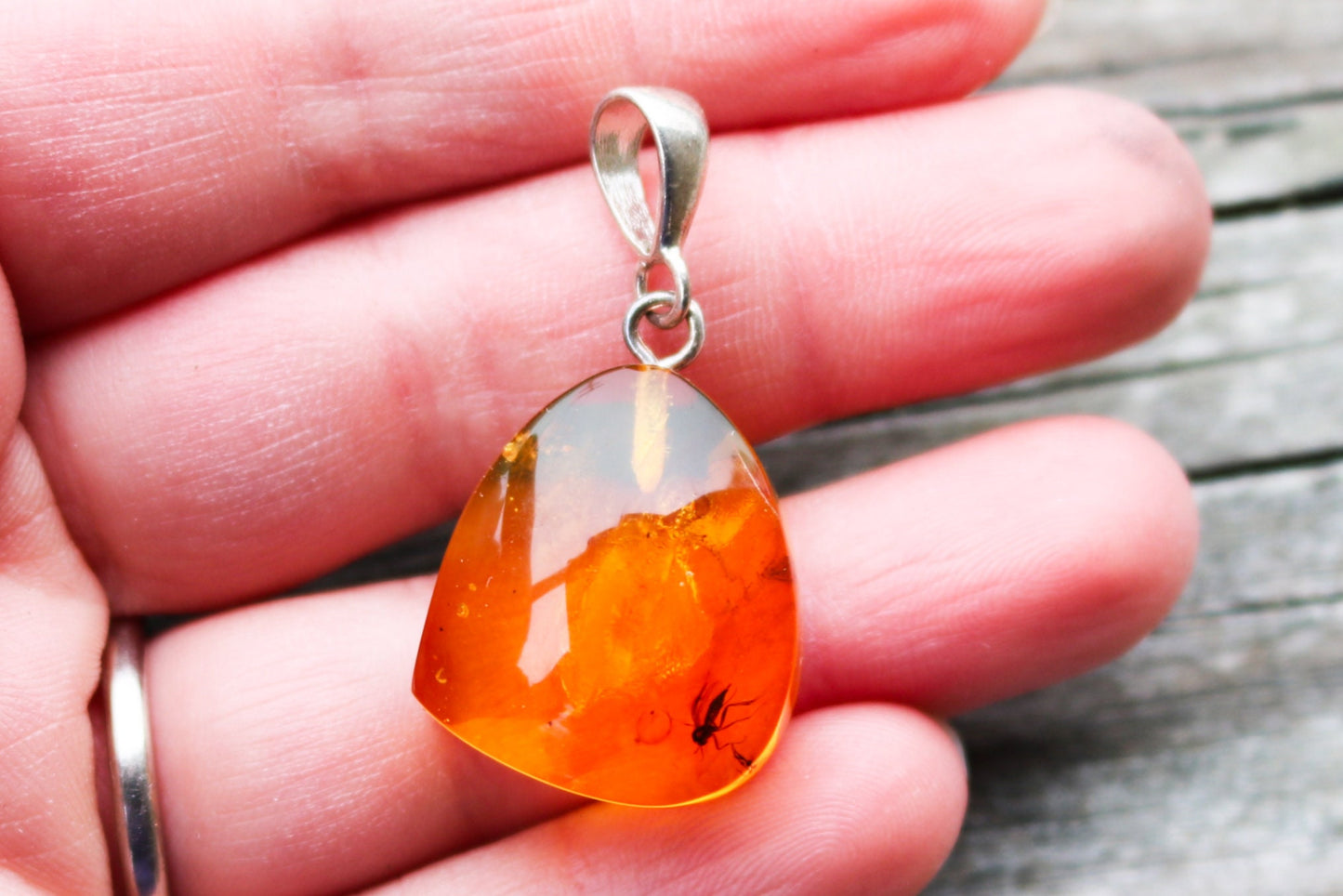 Baltic Amber Pendant Fossil Insect Natural Honey Unisex Jewelry 1.54" 4.6 gram 925 silver