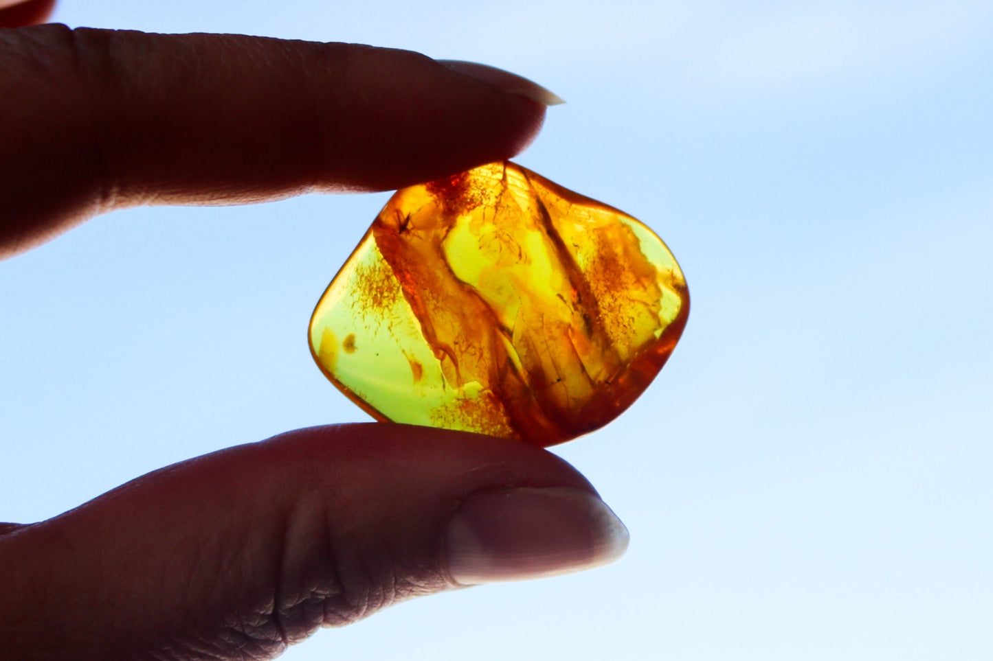 Baltic Amber Chunk Nugget Honey With Fossil Insect  Inclusions 5.1 gram