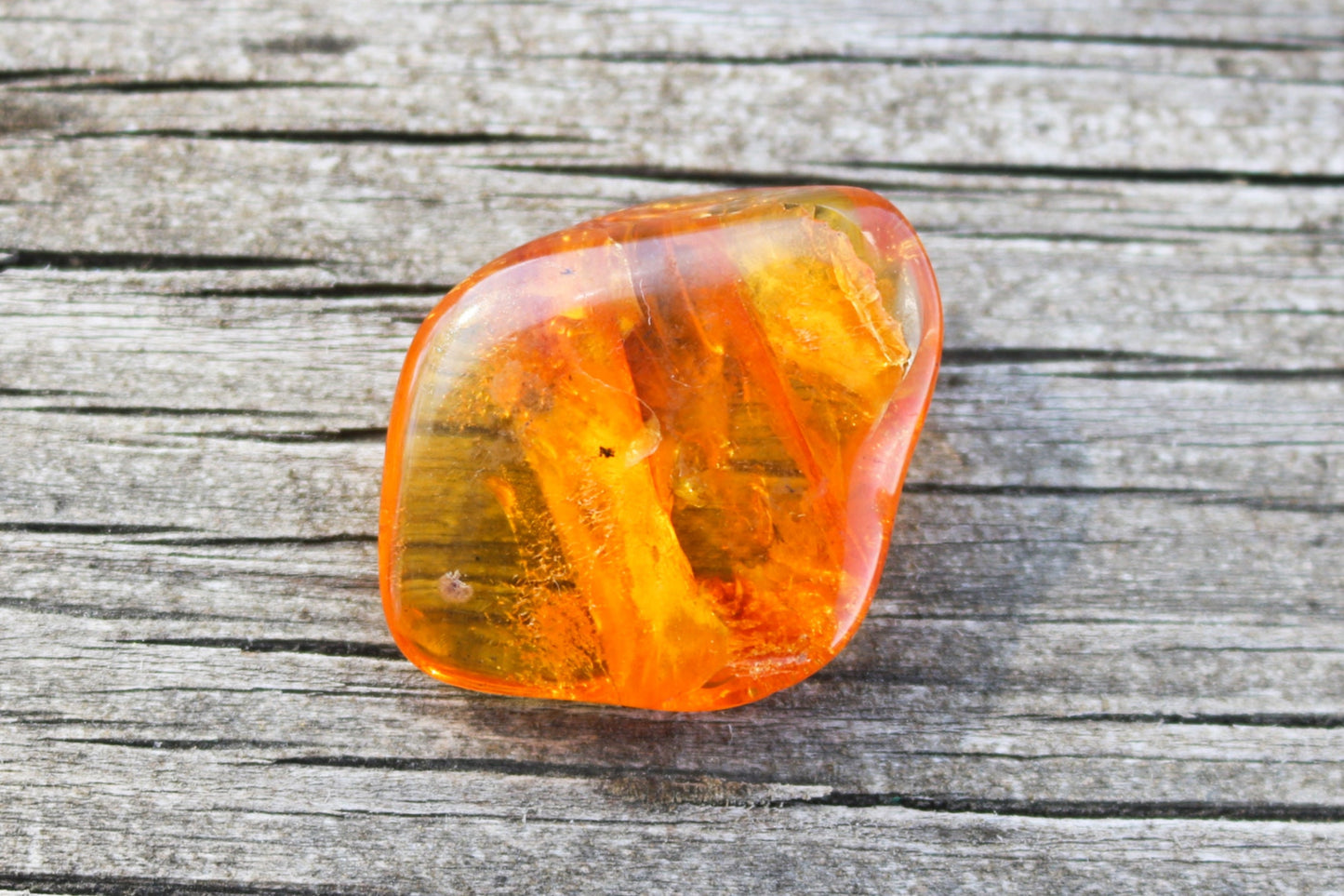 Baltic Amber Chunk Nugget Honey With Fossil Insect  Inclusions 5.1 gram