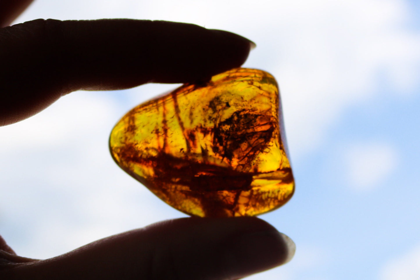 Baltic Amber Chunk Nugget Honey With Natural Fossil Inclusions 13.8 gram